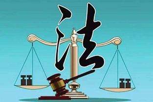 我的好妈妈,蘑菇理论的现代家庭教育应用-培养独立自信的孩子-第3张图片-佛山资讯网 我的好妈妈,蘑菇理论的现代家庭教育应用-培养独立自信的孩子-第3张图片-佛山资讯网