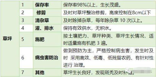 合法影视观看指南,十七岁电影在线观看的正确方式-第5张图片-佛山资讯网 合法影视观看指南,十七岁电影在线观看的正确方式-第5张图片-佛山资讯网