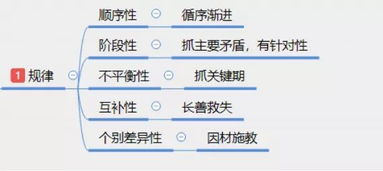 三分钟快速领略日本文化精髓,探索日本三分钟奥秘-第1张图片-佛山资讯网