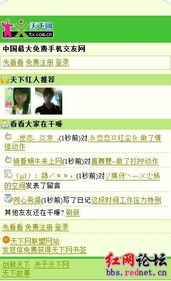火影忍者720集全集高清在线观看攻略-第5张图片-佛山资讯网