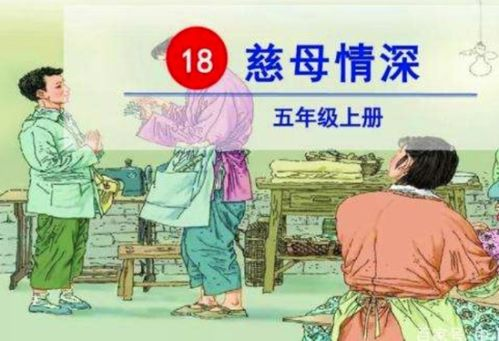 慈母情深,母爱的力量与传承-生活中的温暖故事-第3张图片-佛山资讯网