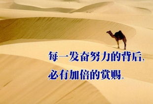 30-40岁女性观众专属电视剧推荐-情感与成长的故事-第4张图片-佛山资讯网 30-40岁女性观众专属电视剧推荐-情感与成长的故事-第4张图片-佛山资讯网