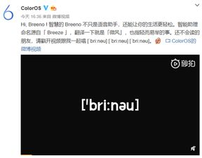 免费观看高清视频大全下载指南-资源搜索与合法使用-第4张图片-佛山资讯网 免费观看高清视频大全下载指南-资源搜索与合法使用-第4张图片-佛山资讯网