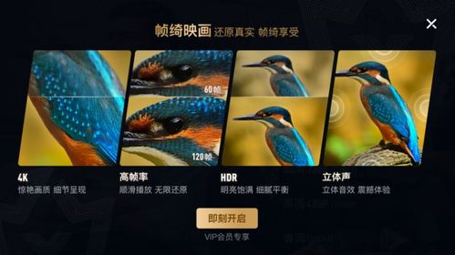 风筝电视剧在线观看免费全集-高清流畅观影指南-第2张图片-佛山资讯网 风筝电视剧在线观看免费全集-高清流畅观影指南-第2张图片-佛山资讯网