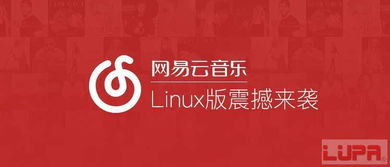 音乐在线听,享受无尽音乐盛宴-平台选择与使用技巧-第3张图片-佛山资讯网 音乐在线听,享受无尽音乐盛宴-平台选择与使用技巧-第3张图片-佛山资讯网