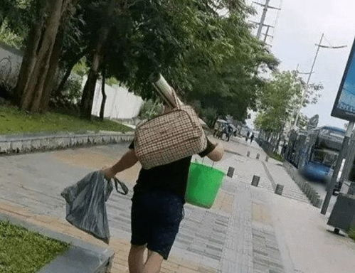 韩国理论解析-深入了解韩国文化的精髓与影响-第2张图片-佛山资讯网