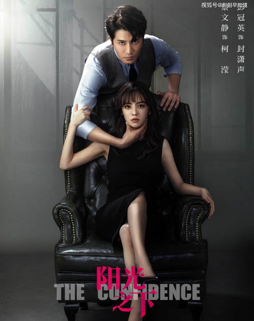 《甄嬛传》2015孙俪版，宫廷权谋与人性挣扎的完美演绎-第2张图片-佛山资讯网
