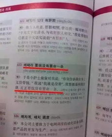 国语标准化推广与应用策略-语言环境优化解析-第4张图片-佛山资讯网 国语标准化推广与应用策略-语言环境优化解析-第4张图片-佛山资讯网