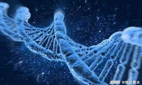 麻花天美星空果冻,传统与创新结合的美味-制作与品鉴指南-第1张图片-佛山资讯网