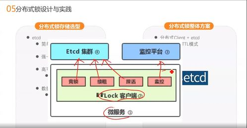 2023年免费B站大全永不收费攻略-资源获取与使用指南-第1张图片-佛山资讯网