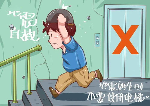 向阳而生-阳光生活与健康之道解析-第2张图片-佛山资讯网