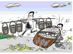 欢喜债：投资策略与财务优化解析-第4张图片-佛山资讯网