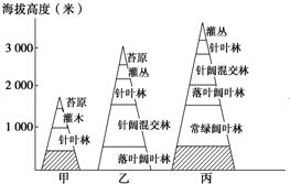 五十度灰情感关系解析-心理因素与建立健康关系策略-第2张图片-佛山资讯网