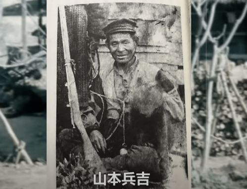 食人狂魔心理解析与历史案例分析-探讨人性黑暗面-第2张图片-佛山资讯网 食人狂魔心理解析与历史案例分析-探讨人性黑暗面-第2张图片-佛山资讯网