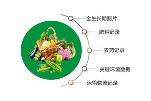 寻找流淌的美好时光-回忆与感悟之旅-第1张图片-佛山资讯网 寻找流淌的美好时光-回忆与感悟之旅-第1张图片-佛山资讯网