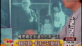 1 46集电视剧剧情详细介绍-悬疑情感大剧深度解析-第4张图片-佛山资讯网