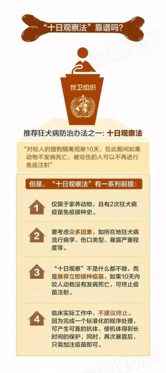 国产伦理电视剧免费观看指南-精选资源解析-第2张图片-佛山资讯网