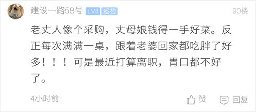 女总裁的上门女婿：身份认同与生活挑战-角色解析与应对策略-第2张图片-佛山资讯网