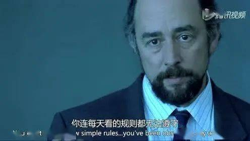 本能的爱:源自内心的情感纽带-解析与培养方法-第5张图片-佛山资讯网 本能的爱:源自内心的情感纽带-解析与培养方法-第5张图片-佛山资讯网