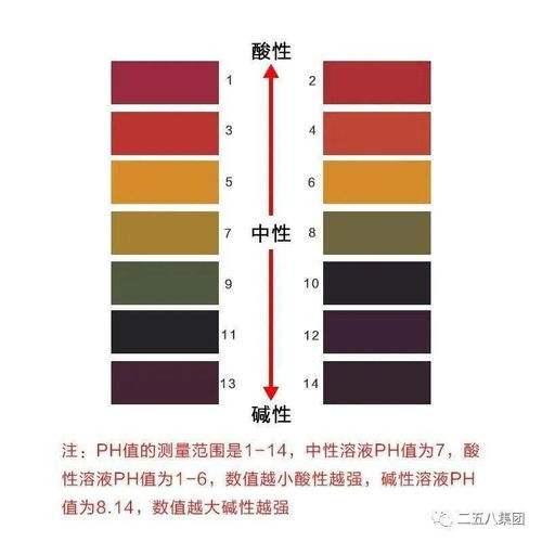 aaaa级毛皮标准色卡,解读高品质毛皮选购要点-行业规范解析-第2张图片-佛山资讯网 aaaa级毛皮标准色卡,解读高品质毛皮选购要点-行业规范解析-第2张图片-佛山资讯网