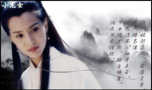 神雕侠侣的爱情与侠义-武侠世界的永恒传说-第1张图片-佛山资讯网 神雕侠侣的爱情与侠义-武侠世界的永恒传说-第1张图片-佛山资讯网