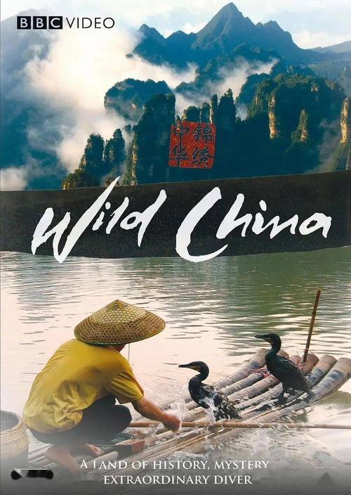 近期热映电影推荐与解析-影院观影指南-第3张图片-佛山资讯网
