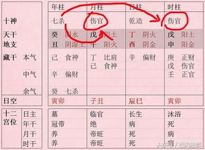 周易算命免费解读，生辰八字揭示命运奥秘-第2张图片-佛山资讯网