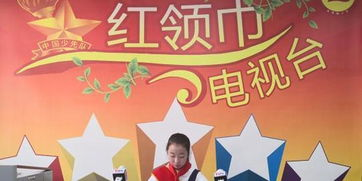 汪汪队立大功第八季,精彩剧情预告-寓教于乐的动画盛宴-第2张图片-佛山资讯网