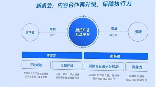 中央4台在线直播,随时随地观看权威新闻-观看指南解析-第5张图片-佛山资讯网 中央4台在线直播,随时随地观看权威新闻-观看指南解析-第5张图片-佛山资讯网