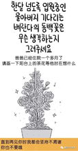 雍正王朝电视剧全集56集完整版剧情解析与深度解读-第5张图片-佛山资讯网 雍正王朝电视剧全集56集完整版剧情解析与深度解读-第5张图片-佛山资讯网