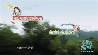 疯狂试爱高清,探索激情与浪漫的解决方案解析-第3张图片-佛山资讯网 疯狂试爱高清,探索激情与浪漫的解决方案解析-第3张图片-佛山资讯网