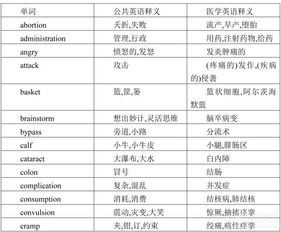 中文翻译技巧与实践-“我的小后妈”翻译解析-第2张图片-佛山资讯网 中文翻译技巧与实践-“我的小后妈”翻译解析-第2张图片-佛山资讯网