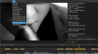 日本字幕MV, 提升音乐欣赏体验-字幕MV搜索与欣赏指南-第2张图片-佛山资讯网