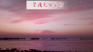 韩国大尺度电影精选,深度探讨人性与情感-五部不容错过的作品-第2张图片-佛山资讯网 韩国大尺度电影精选,深度探讨人性与情感-五部不容错过的作品-第2张图片-佛山资讯网