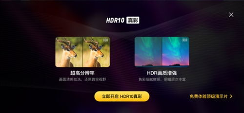 小小影视大全免费高清版,打造极致观影体验-功能与优势解析-第2张图片-佛山资讯网 小小影视大全免费高清版,打造极致观影体验-功能与优势解析-第2张图片-佛山资讯网