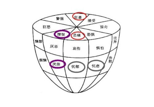 《王牌保镖2》：动作与剧情的完美融合-电影解析与深度剖析-第5张图片-佛山资讯网