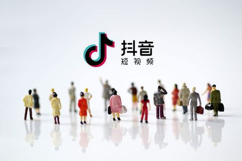 抖音热门歌曲《白了头》- 感人旋律与深情歌词的完美融合-第3张图片-佛山资讯网 抖音热门歌曲《白了头》- 感人旋律与深情歌词的完美融合-第3张图片-佛山资讯网