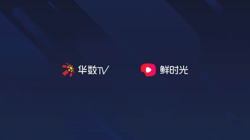 一二三四视频社区,社交新趋势-用户互动体验解析-第2张图片-佛山资讯网 一二三四视频社区,社交新趋势-用户互动体验解析-第2张图片-佛山资讯网