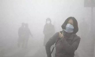 揭秘世界上一只僵尸-传说与现实交织的真相-第2张图片-佛山资讯网 揭秘世界上一只僵尸-传说与现实交织的真相-第2张图片-佛山资讯网