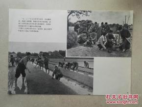 电视剧《火蓝刀锋》剧情解析与军事文化展现-第3张图片-佛山资讯网 电视剧《火蓝刀锋》剧情解析与军事文化展现-第3张图片-佛山资讯网