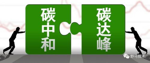 斗罗大陆全集免费完整版-合法观看途径解析-第3张图片-佛山资讯网 斗罗大陆全集免费完整版-合法观看途径解析-第3张图片-佛山资讯网