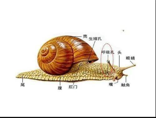 科技尝鲜,引领生活新潮流-尝鲜方式与度把握解析-第3张图片-佛山资讯网 科技尝鲜,引领生活新潮流-尝鲜方式与度把握解析-第3张图片-佛山资讯网