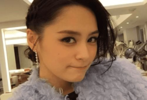 中国第一美女,传统与现代审美标准的碰撞-美学解析-第5张图片-佛山资讯网 中国第一美女,传统与现代审美标准的碰撞-美学解析-第5张图片-佛山资讯网