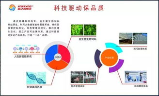 国内精自视频品线一区,引领高品质视频内容新趋势-解决方案解析-第2张图片-佛山资讯网 国内精自视频品线一区,引领高品质视频内容新趋势-解决方案解析-第2张图片-佛山资讯网
