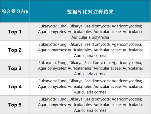 免费网站在线观看人数统计与直播位置解析-第4张图片-佛山资讯网
