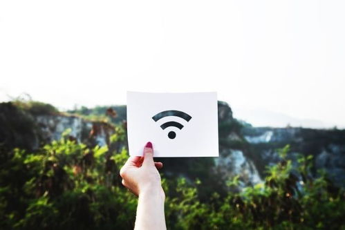 欧洲Vodafone Wi-Fi巨大软件支持与服务解析-第3张图片-佛山资讯网 欧洲Vodafone Wi-Fi巨大软件支持与服务解析-第3张图片-佛山资讯网
