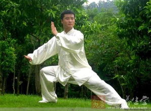 太极拳24式慢动作视频教程-动作解析与学习技巧-第2张图片-佛山资讯网 太极拳24式慢动作视频教程-动作解析与学习技巧-第2张图片-佛山资讯网