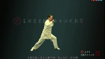 太极拳24式慢动作视频教程-动作解析与学习技巧-第5张图片-佛山资讯网 太极拳24式慢动作视频教程-动作解析与学习技巧-第5张图片-佛山资讯网