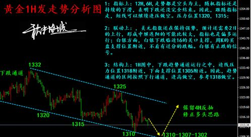 《金悔瓶》免费观看指南-合法途径与版权意识-第2张图片-佛山资讯网 《金悔瓶》免费观看指南-合法途径与版权意识-第2张图片-佛山资讯网