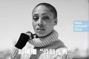 爸爸的朋友4 光头:独特形象与人际交往解析-第1张图片-佛山资讯网 爸爸的朋友4 光头:独特形象与人际交往解析-第1张图片-佛山资讯网